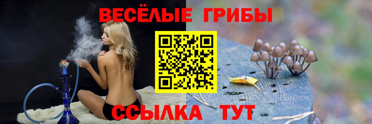Псилоцибиновые грибы Psilocybine cubensis Петропавловск-Камчатский