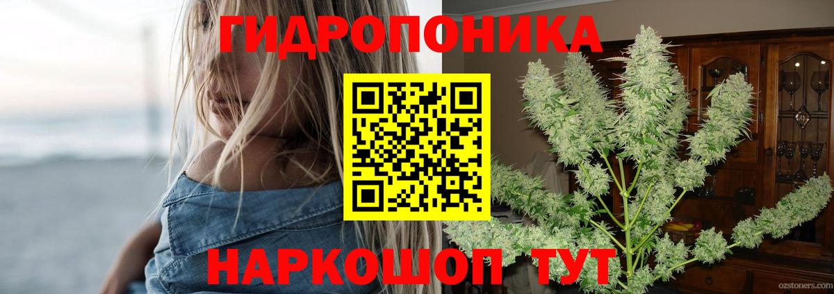 Бошки Шишки гибрид  Конопля семена  Каннабис семена  Каннабис конопля  Вход с VPN  Петропавловск-Камчатский 